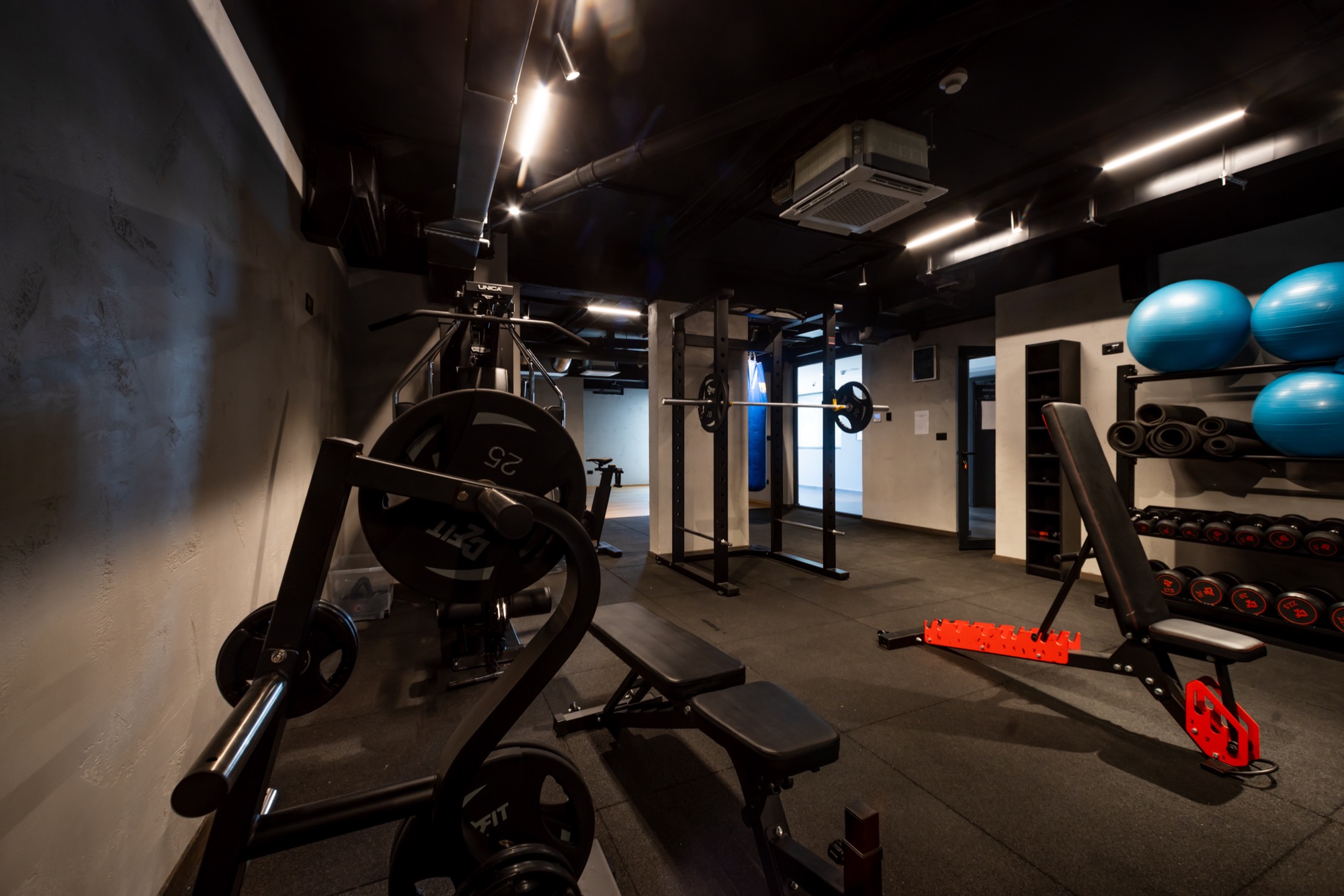 Training equipment inside the included Royal Blue gym